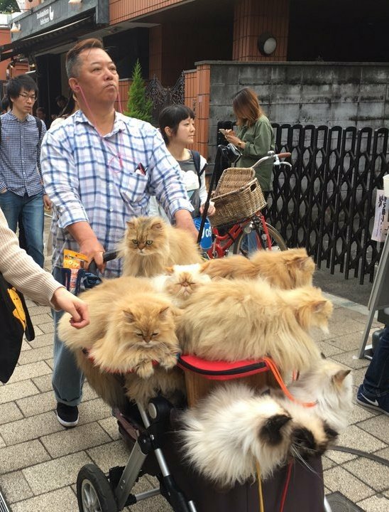 Bildschirmarbeiter - Picdump 09.06.2017