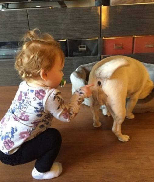 Bildschirmarbeiter - Picdump 09.06.2017