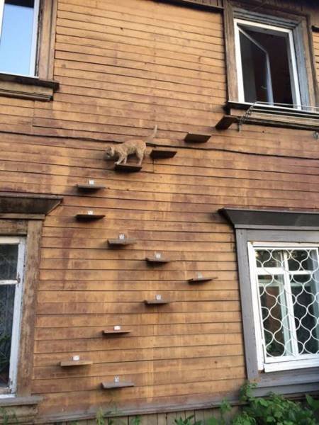 Bildschirmarbeiter - Picdump 09.06.2017