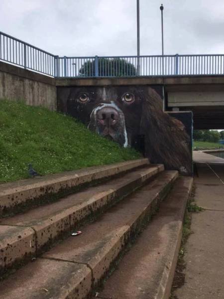 Bildschirmarbeiter - Picdump 09.06.2017