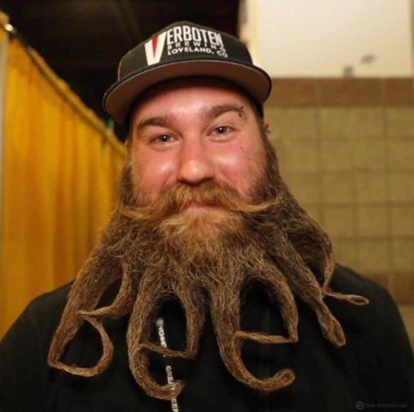 Bildschirmarbeiter - Picdump 09.06.2017