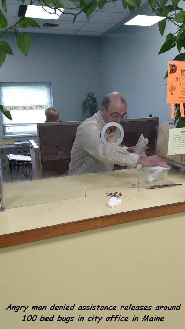 Bildschirmarbeiter - Picdump 09.06.2017