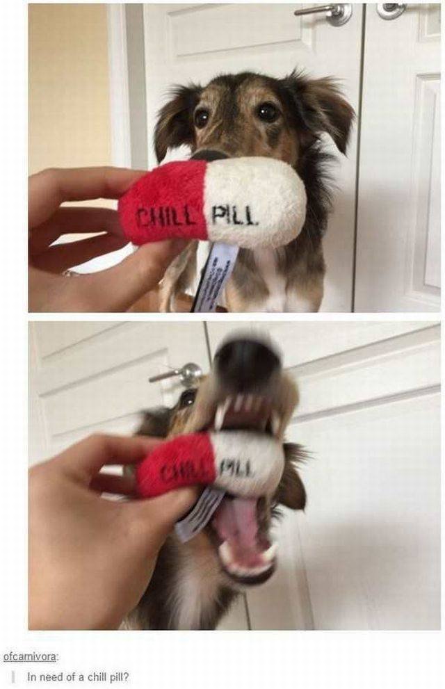 Bildschirmarbeiter - Picdump 09.06.2017