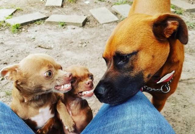 Bildschirmarbeiter - Picdump 09.06.2017