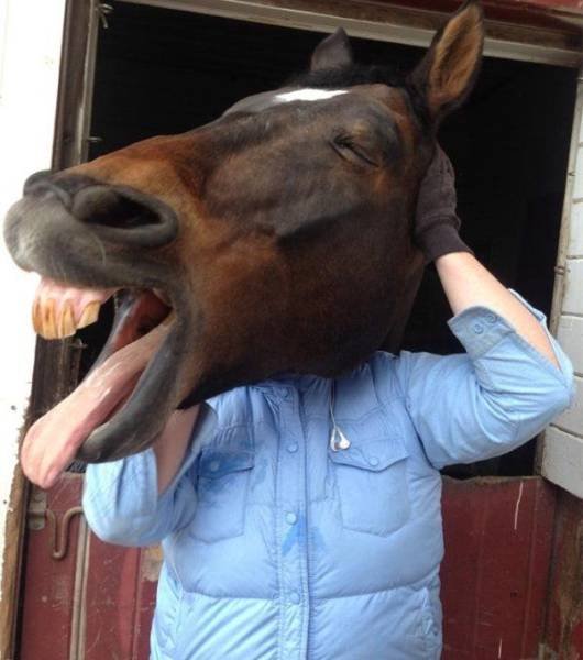 Bildschirmarbeiter - Picdump 09.06.2017