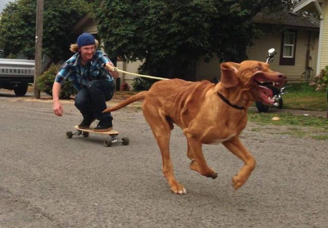 Bildschirmarbeiter - Picdump 09.06.2017