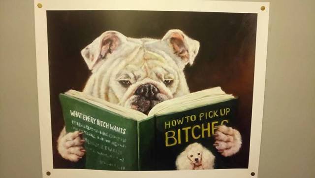 Bildschirmarbeiter - Picdump 09.06.2017