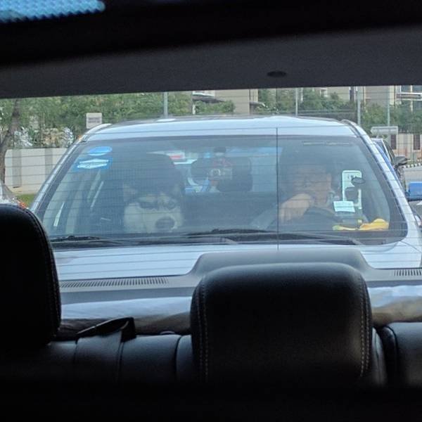 Bildschirmarbeiter - Picdump 09.06.2017