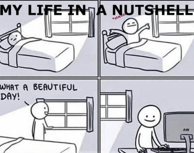 Bildschirmarbeiter - Picdump 09.06.2017