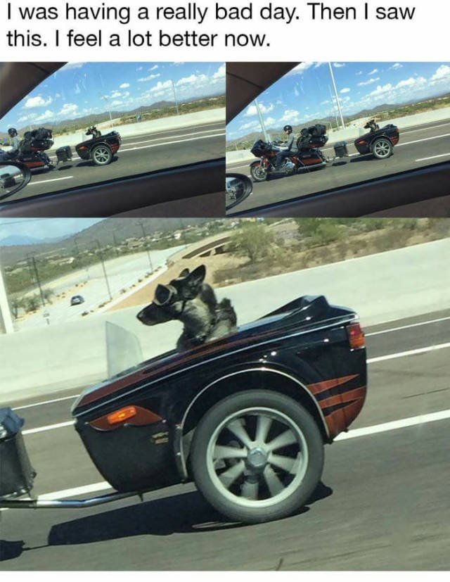 Bildschirmarbeiter - Picdump 09.06.2017