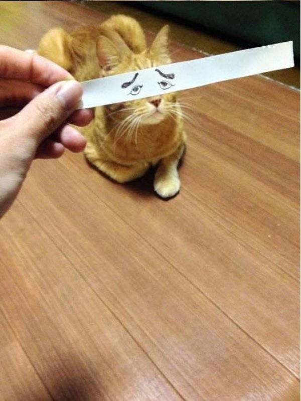 Bildschirmarbeiter - Picdump 09.06.2017