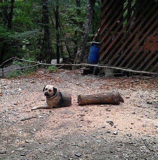 Bildschirmarbeiter - Picdump 09.06.2017