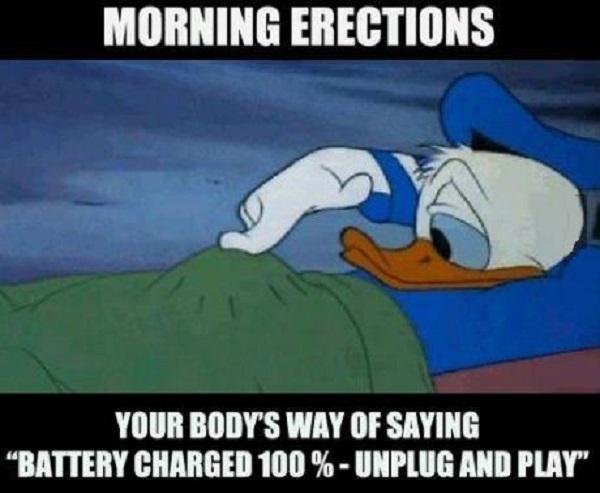 Bildschirmarbeiter - Picdump 09.06.2017