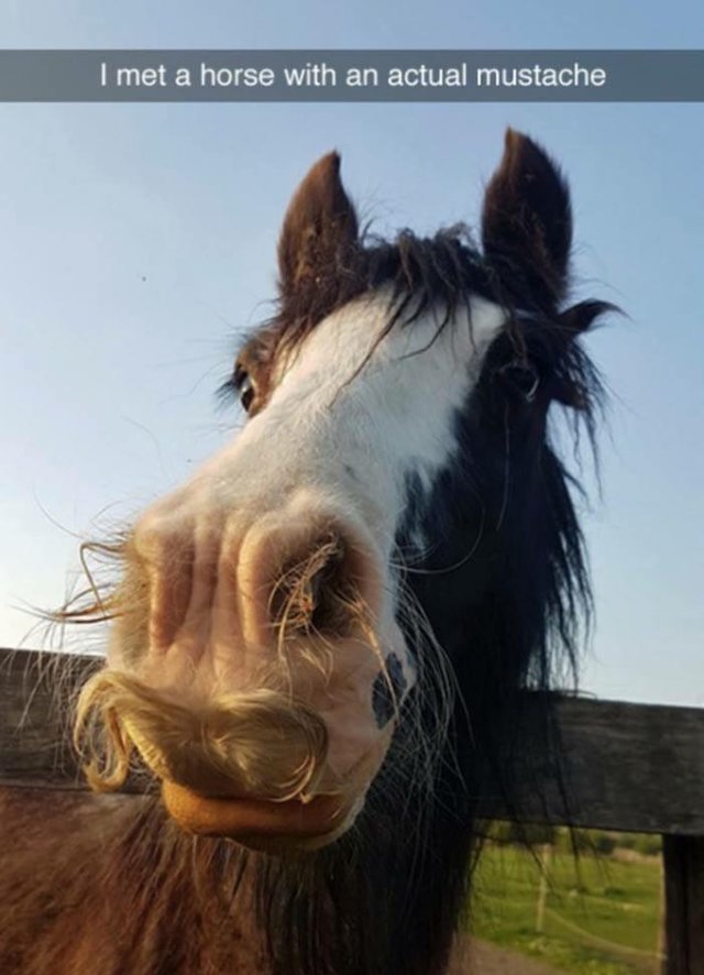 Bildschirmarbeiter - Picdump 09.06.2017