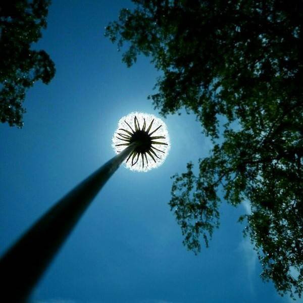 Bildschirmarbeiter - Picdump 09.06.2017