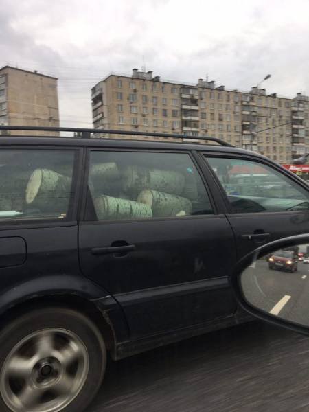 Bildschirmarbeiter - Picdump 09.06.2017