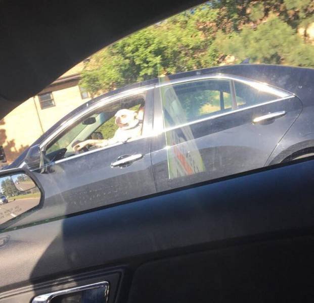 Bildschirmarbeiter - Picdump 09.06.2017