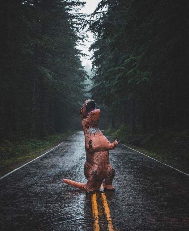 Bildschirmarbeiter - Picdump 09.06.2017