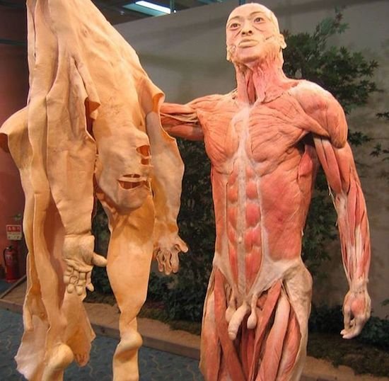 Bildschirmarbeiter - Picdump 09.06.2017