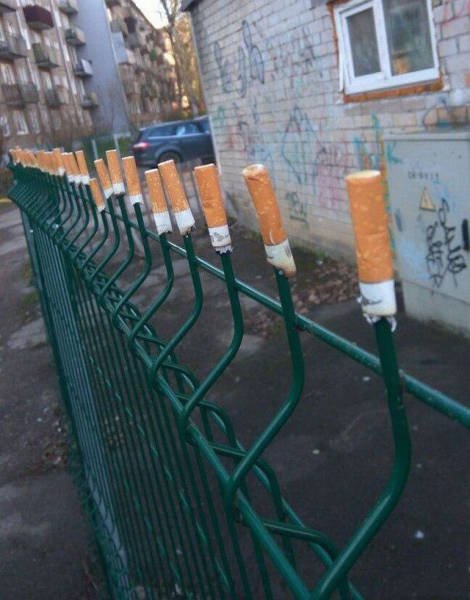 Bildschirmarbeiter - Picdump 09.06.2017