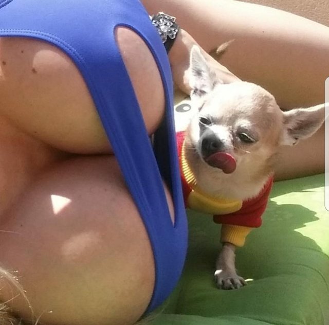 Bildschirmarbeiter - Picdump 09.06.2017