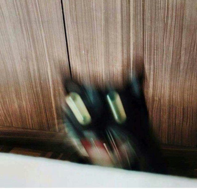 Bildschirmarbeiter - Picdump 16.06.2017