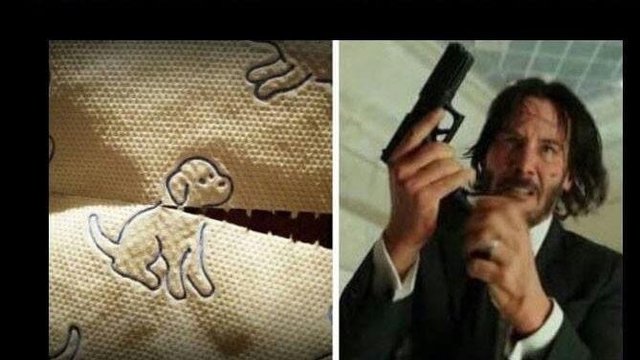 Bildschirmarbeiter - Picdump 16.06.2017