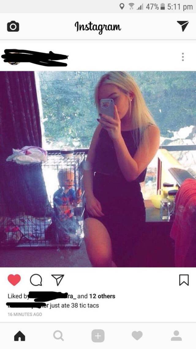 Bildschirmarbeiter - Picdump 16.06.2017