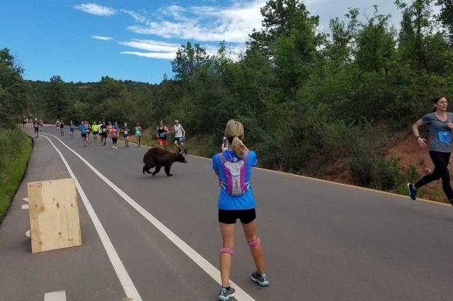 Bildschirmarbeiter - Picdump 16.06.2017