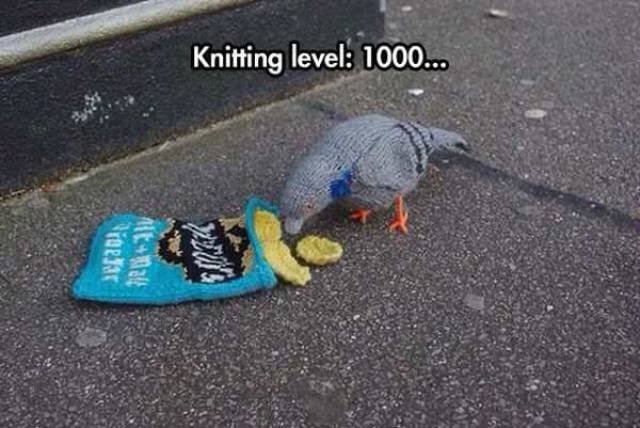 Bildschirmarbeiter - Picdump 16.06.2017