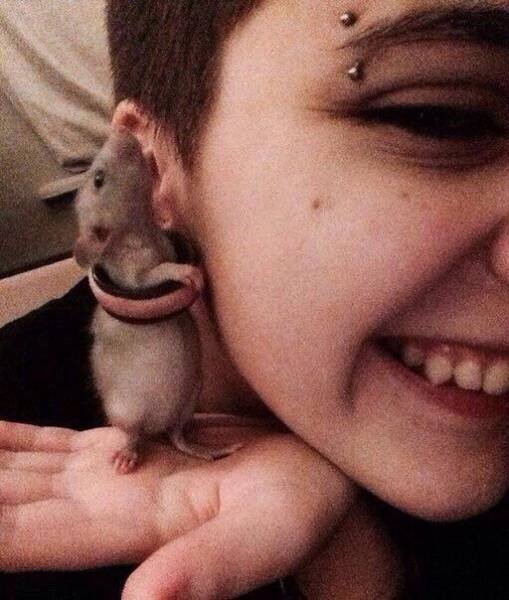 Bildschirmarbeiter - Picdump 16.06.2017