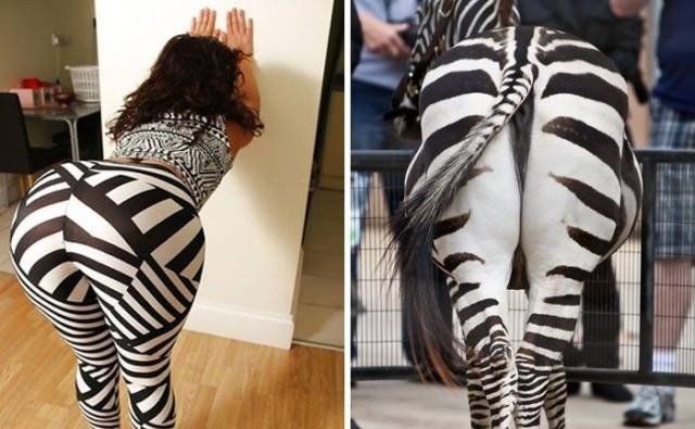 Bildschirmarbeiter - Picdump 16.06.2017