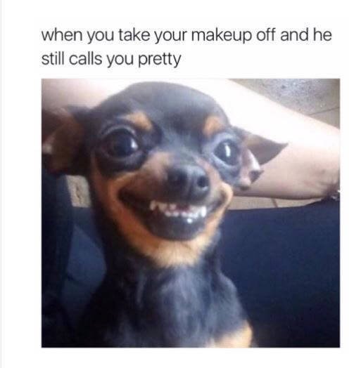 Bildschirmarbeiter - Picdump 16.06.2017