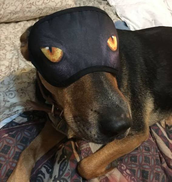 Bildschirmarbeiter - Picdump 16.06.2017