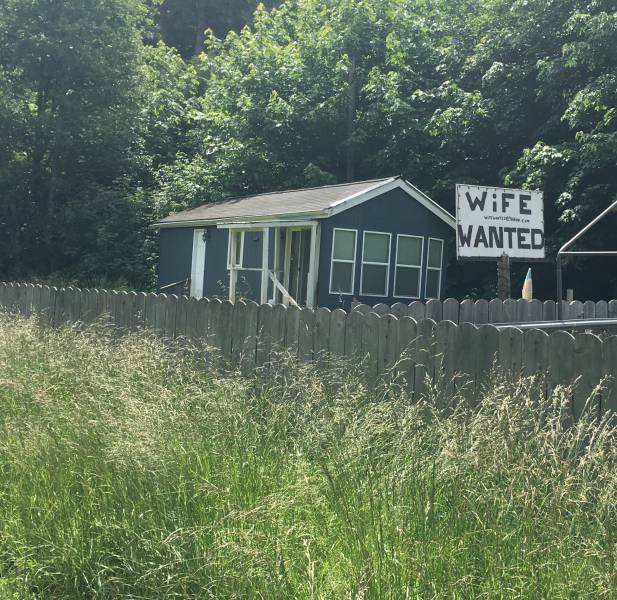 Bildschirmarbeiter - Picdump 16.06.2017