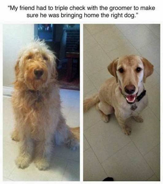 Bildschirmarbeiter - Picdump 16.06.2017