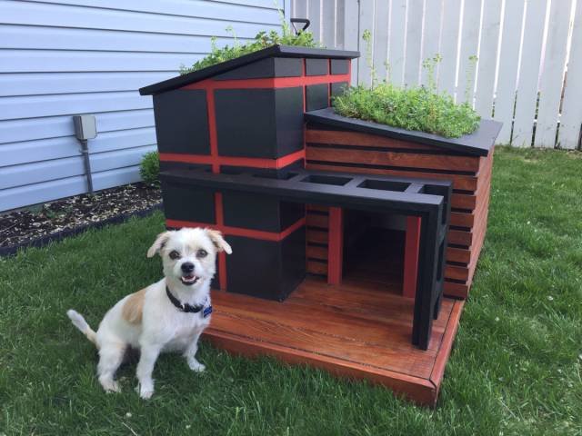 Bildschirmarbeiter - Picdump 16.06.2017