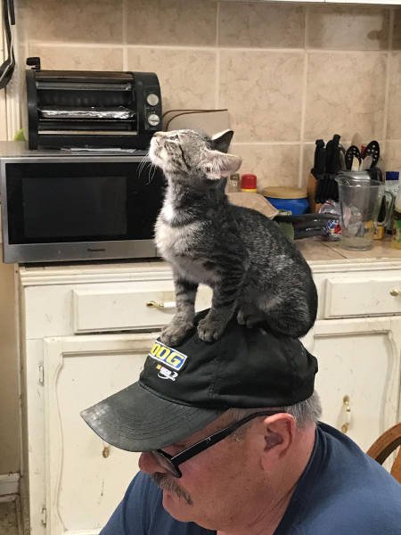 Bildschirmarbeiter - Picdump 16.06.2017