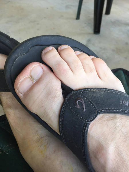 Bildschirmarbeiter - Picdump 16.06.2017