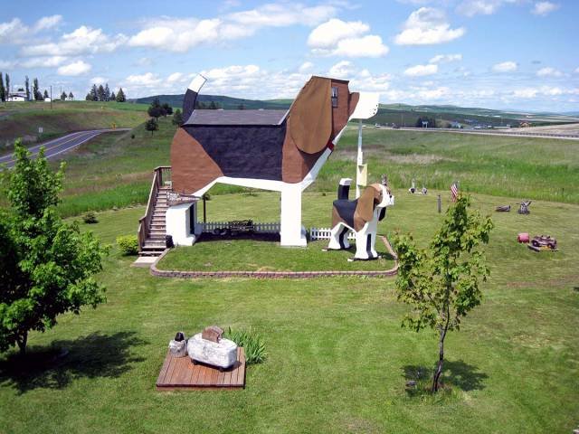 Bildschirmarbeiter - Picdump 16.06.2017