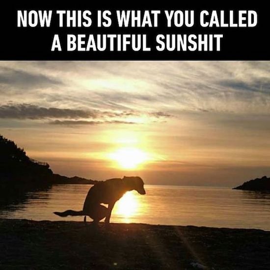 Bildschirmarbeiter - Picdump 16.06.2017