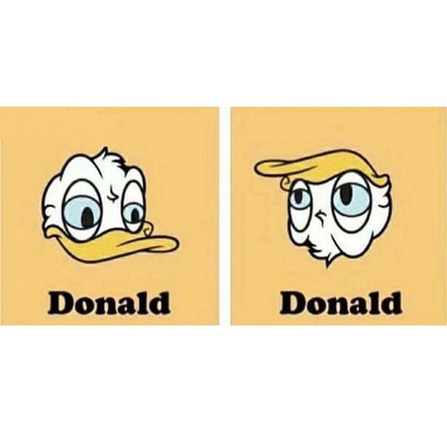 Bildschirmarbeiter - Picdump 16.06.2017