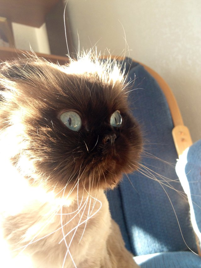 Bildschirmarbeiter - Picdump 23.06.2017