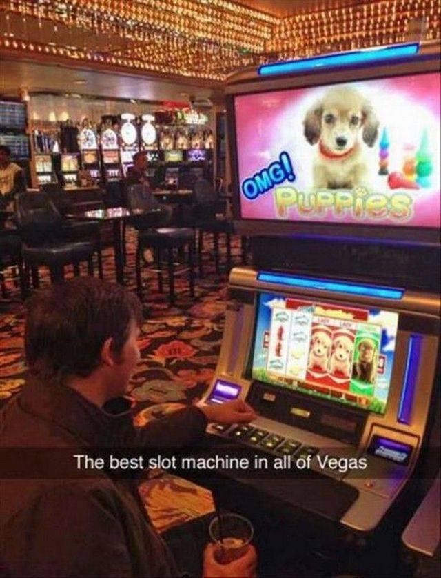 Bildschirmarbeiter - Picdump 23.06.2017