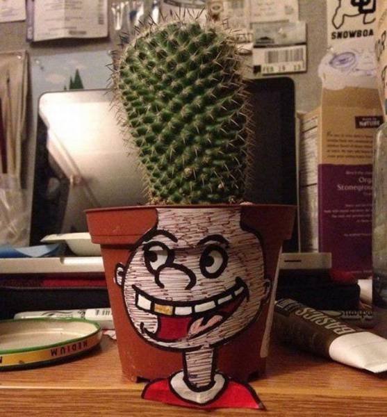 Bildschirmarbeiter - Picdump 23.06.2017