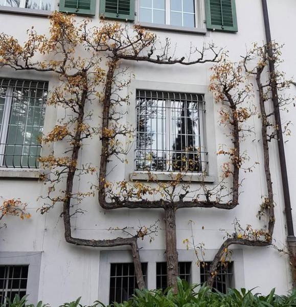 Bildschirmarbeiter - Picdump 23.06.2017