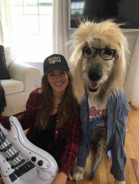 Bildschirmarbeiter - Picdump 23.06.2017