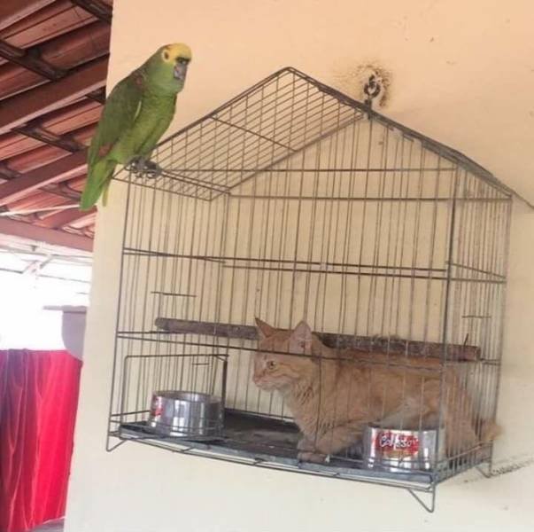 Bildschirmarbeiter - Picdump 23.06.2017