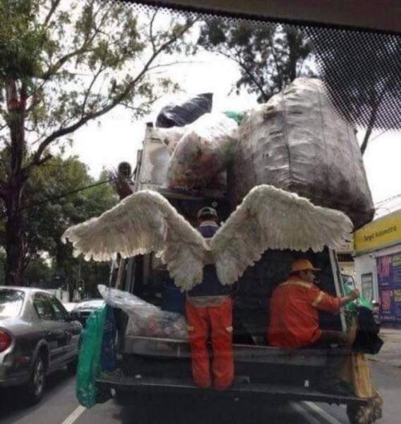 Bildschirmarbeiter - Picdump 23.06.2017