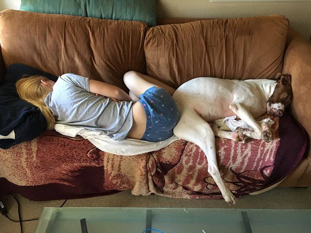 Bildschirmarbeiter - Picdump 23.06.2017